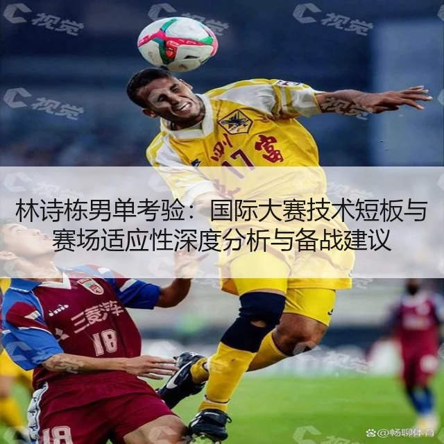林诗栋男单考验:国际大赛技术短板与赛场适应性深度分析与备战建议